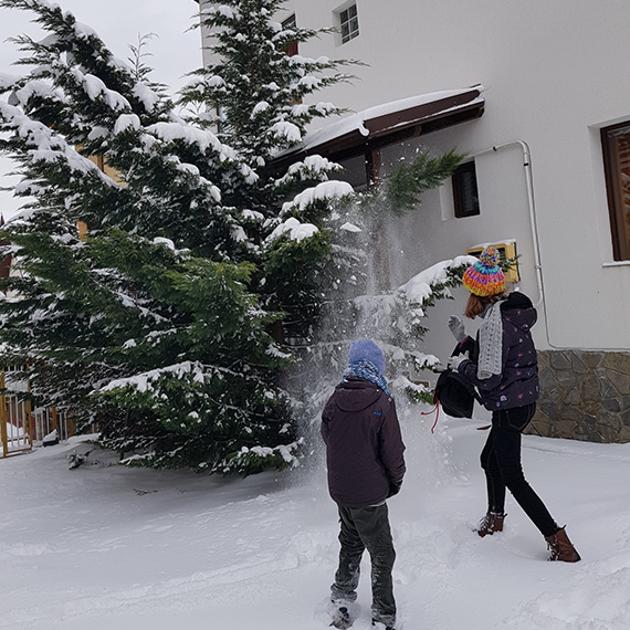 Casa cu Prieteni, Sinaia